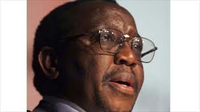 Zanu-PF sets up elections committee