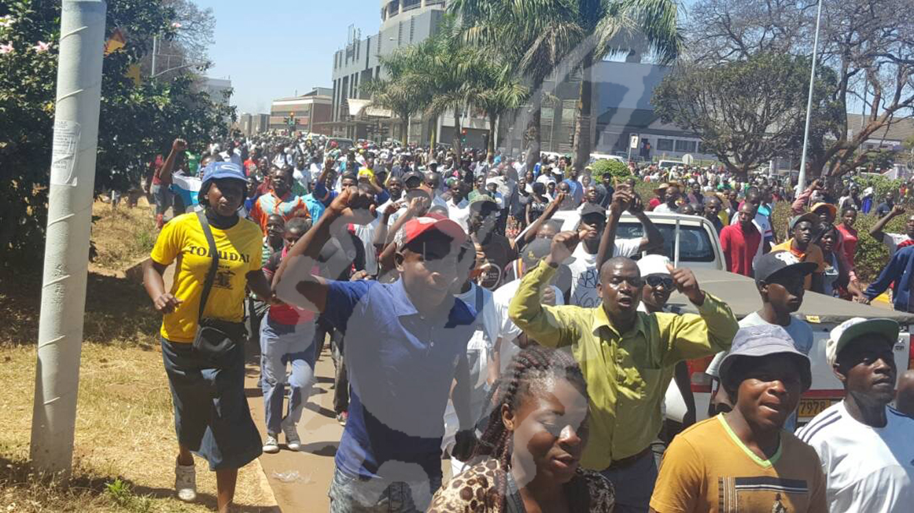 The march organised by Harare Province saw party supporters take to the streets. Picture by Simiso Mlevu