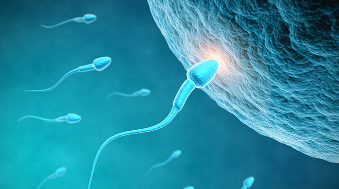 How weight affects couples’ fertility