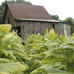 Farmers clash over barns