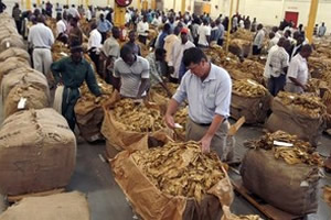 Farmers protest move to close auction floors