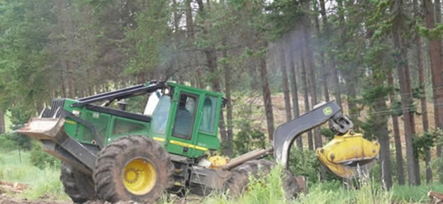 Timber industry under threat, says executive