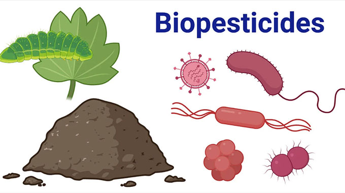 Biopesticides crucial for higher crop yields