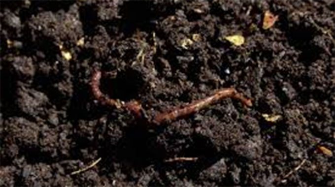 Nature to guide agriculture production, experts