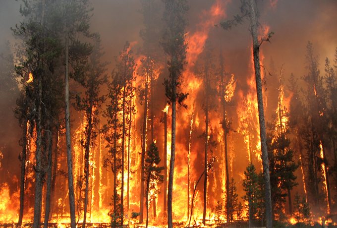 Veld fires: Manicaland in red zone