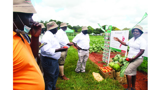 Seed Co launches new maize varieties