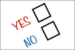 Draft saga: Govt suspends referendum activities