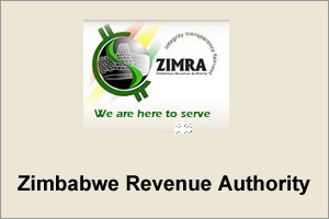 Zimra blamed for border congestion