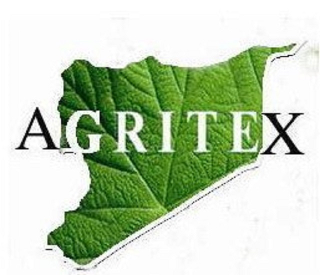 Farmers urged to embrace small grains