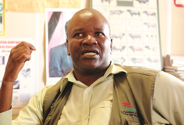 Limani izilimo eziphangisa ukuvuthwa
