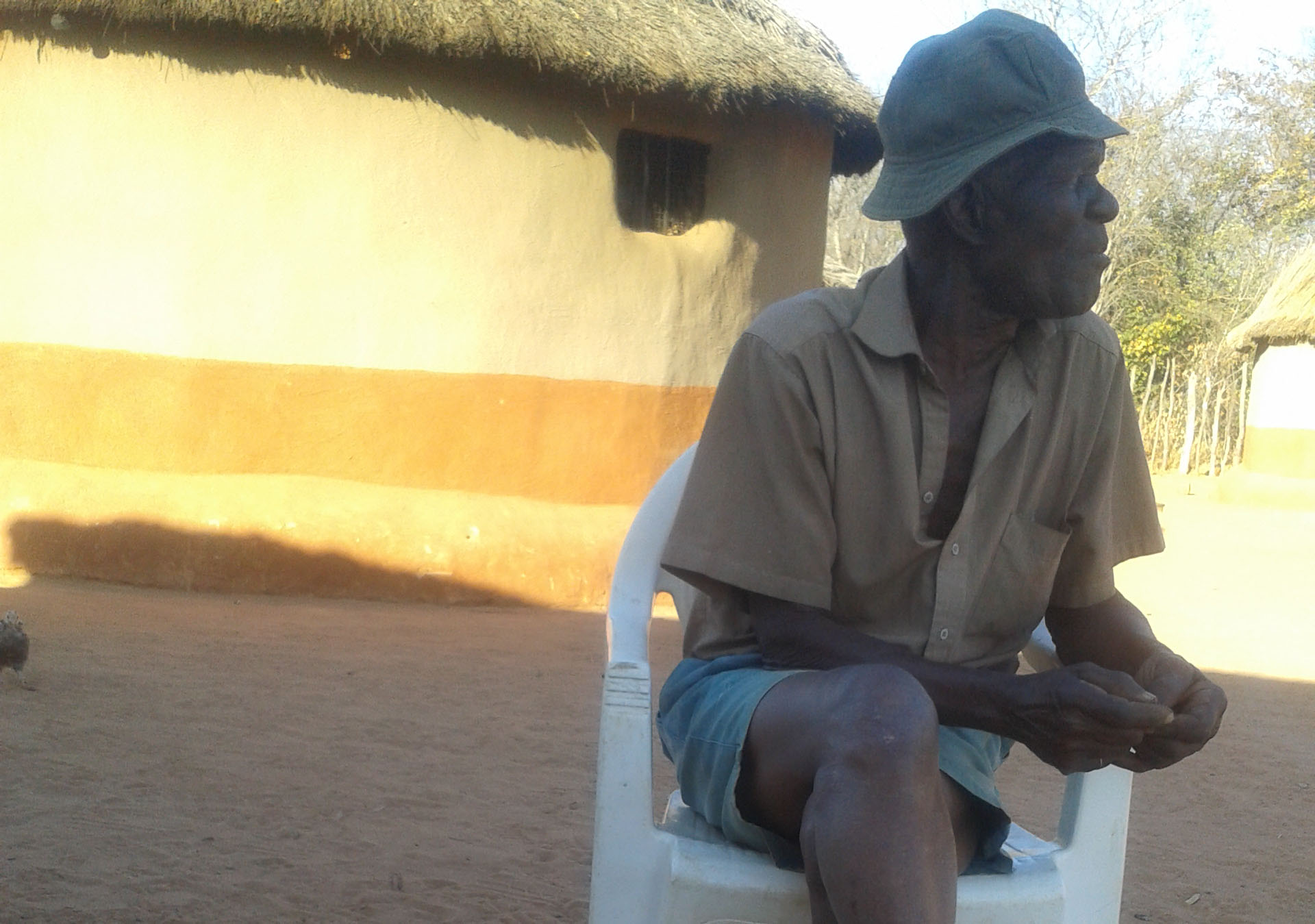 Ufuya ‘inkomo yochago’ esiphaleni