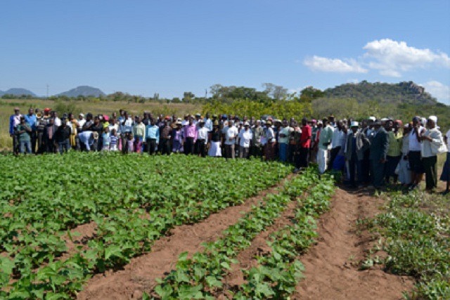 Lingaphenduli umhlabathi: Agritex