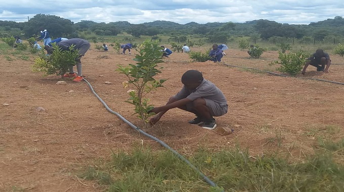 Forestry Commission project to benefit communities