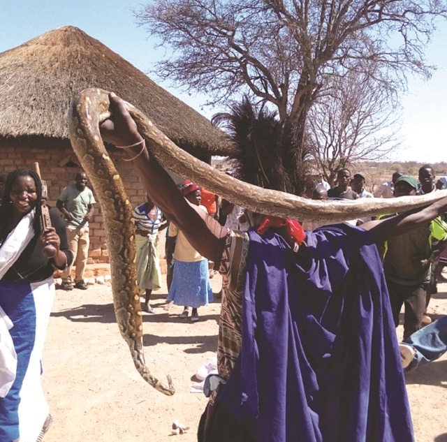 Kusuke isidumo inyanga zisilwa lenyoka zabathakathi