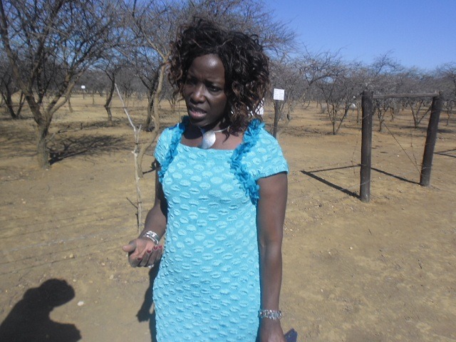 Gcinani izihlahla  zomkhaya