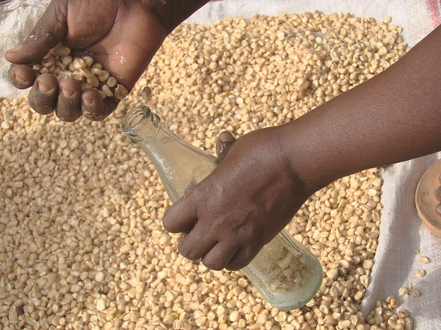 Farmers must address moisture content problem
