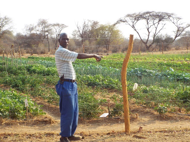 ‘Fundani ukuvuna amanzi’
