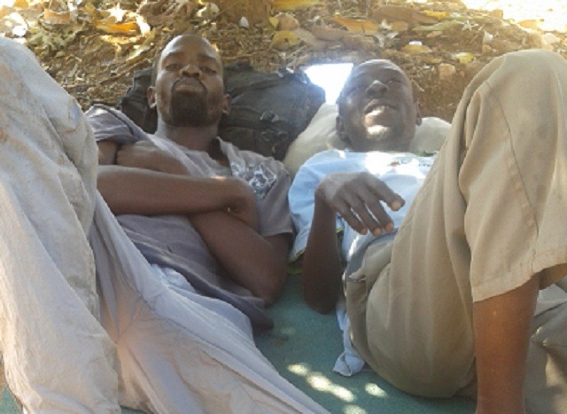 VUMBU INYOKA ISISITHEKA NGERAYISI NGOMLOMO