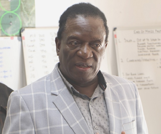 Vice President Emmerson Mnangagwa