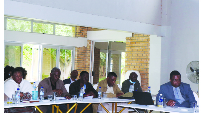 Zimbabwe scales up value-chain development drive