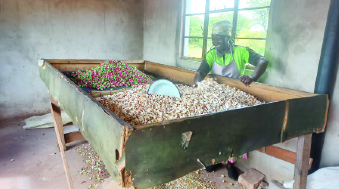 Woman ekes a living from maputi business