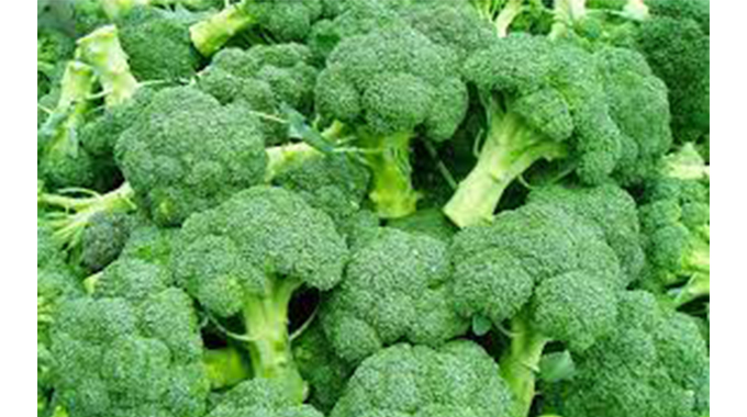 i-broccoli ifuna ukulinywa masinyane
