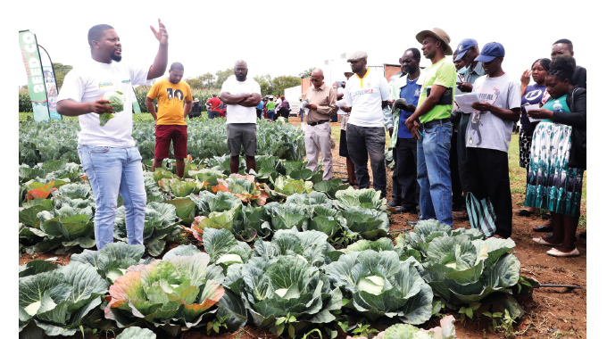 SeedCo, Adra partner to boost horticultural production