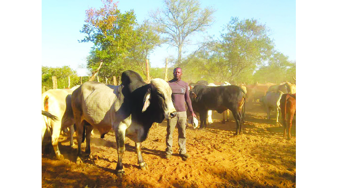Recent rains bring relief to livestock farmers