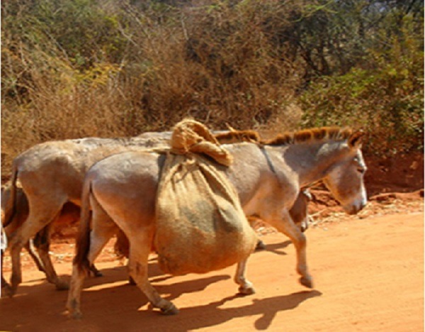 Phathani kuhle obabhemi