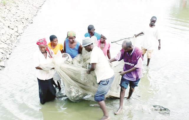 Fish farmers harvest their catch in this file photo