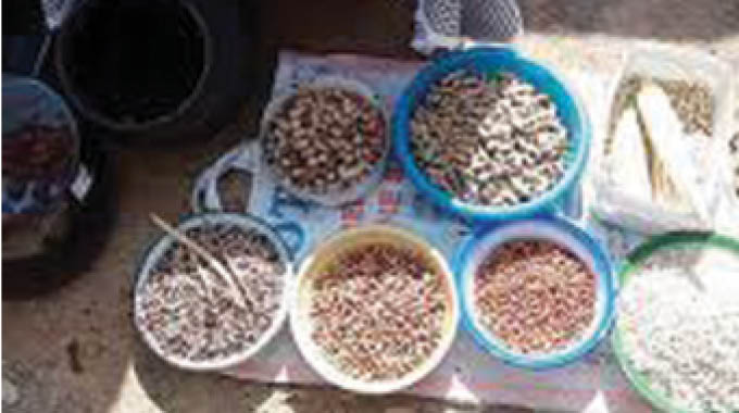 All systems go for Amagugu food and beverages Expo