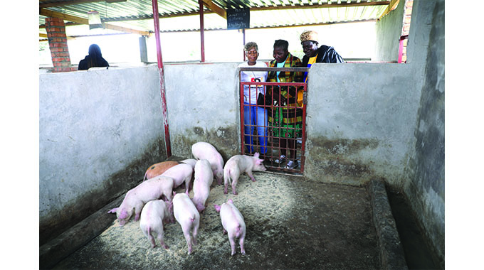 Women benefit from piggery pass-on programme