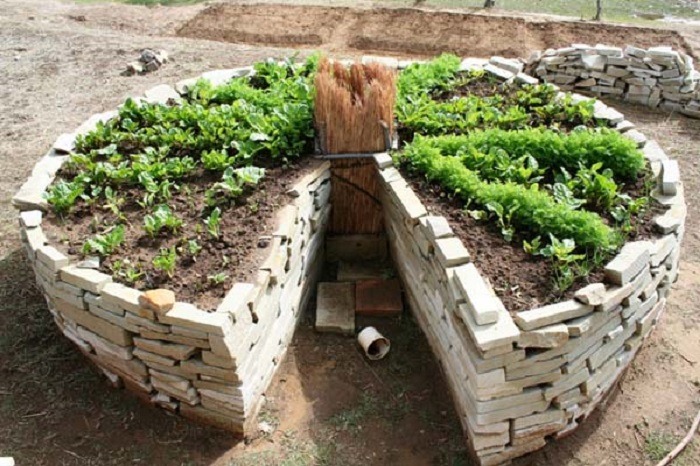 I-Keyhole gardening ilungele abalimi asebekhulile