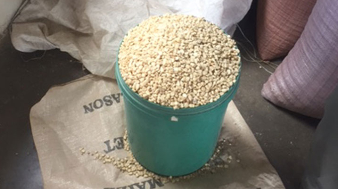 Married woman bonks truck driver for bucket of maize