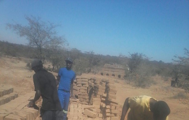 Baphila ngephurojekithi yezitina ekopa