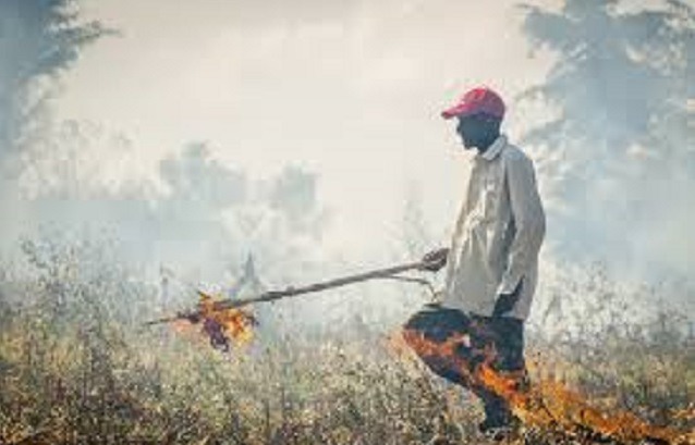 Akuqale ukutshiswa kwamabibi