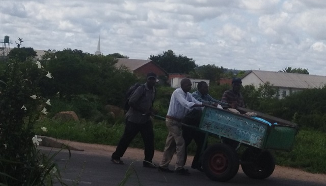 Pushcarts cash in on vendors