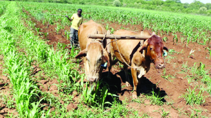 Land reform programme: Major Uhuru milestone