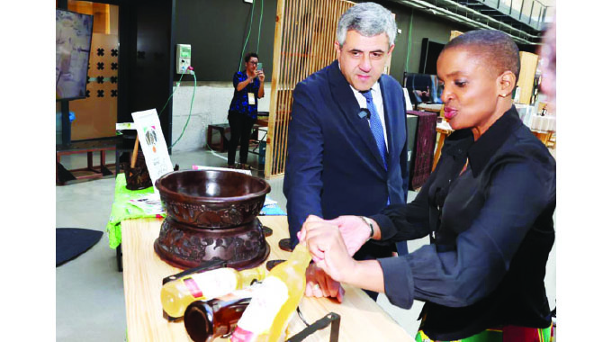 Tendai Rwodzi UNWTO awards Zim 100 tourism scholarships, hails First Lady’s ...