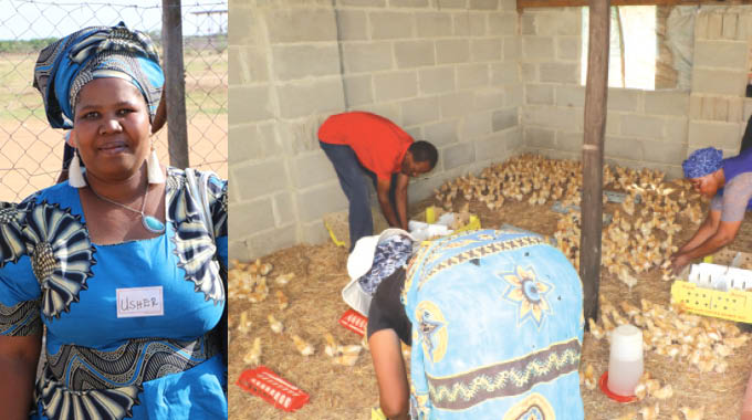 IWolanani inikwa inkukhu ezingu-1 000 zokuziphakamisa – herald