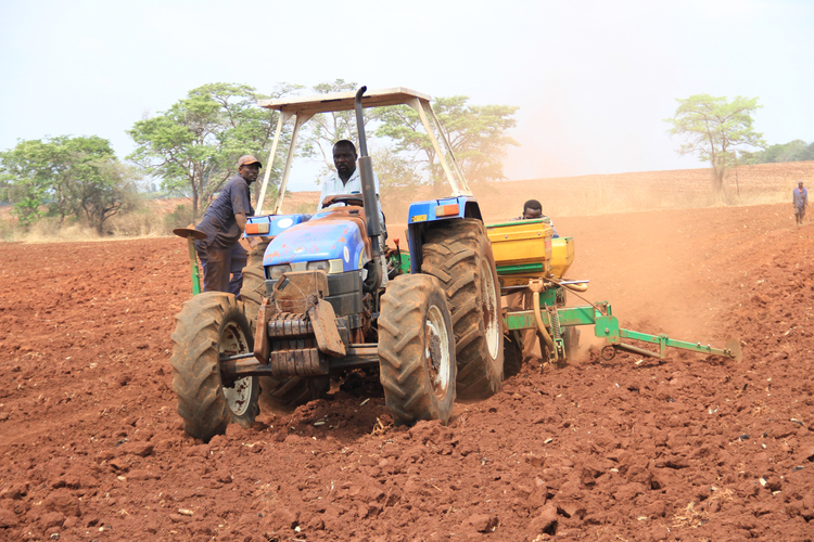 Over 300k register to grow cotton