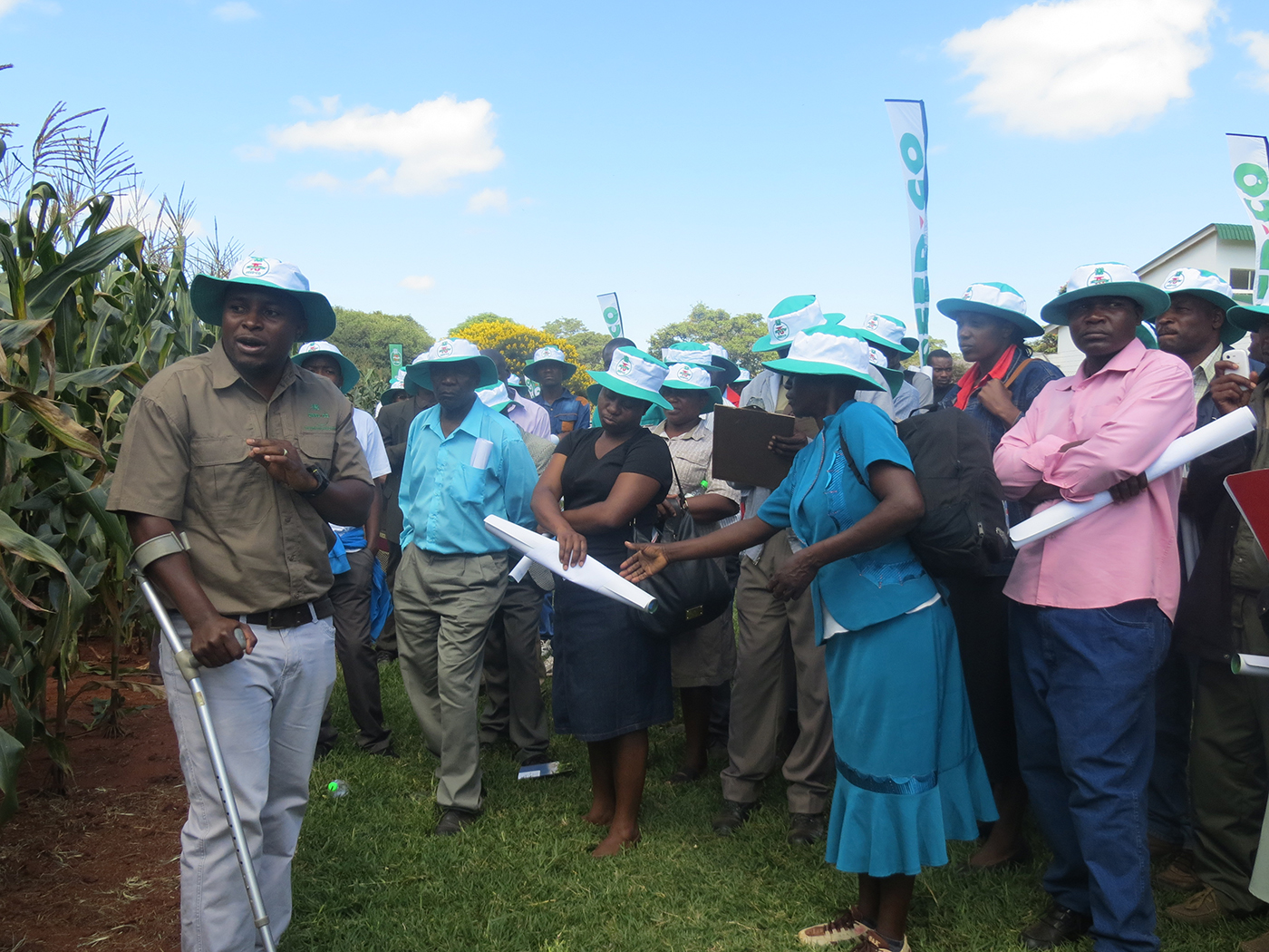 AGRICULTURE: New short seasoned maize varieties on the cards