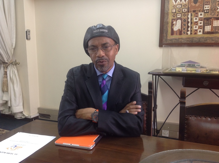 Africa Day: Africa’s corporate favour is nigh: Bismark