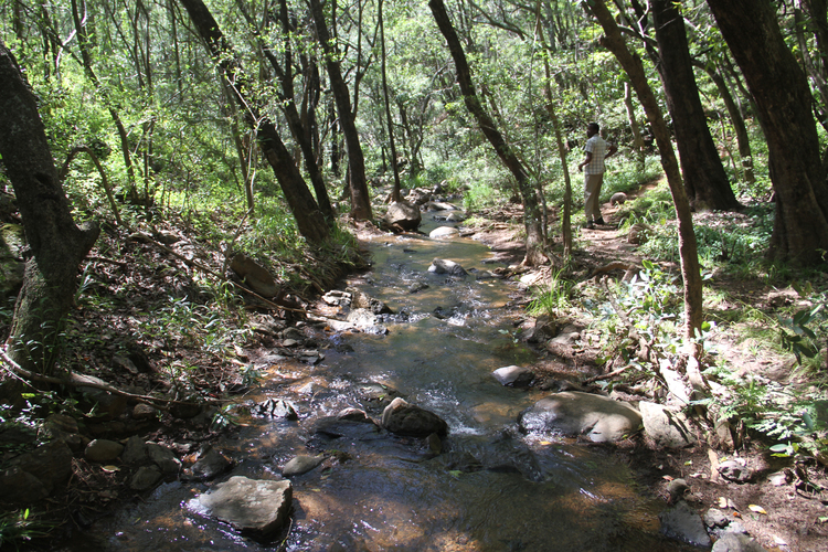 TRAVEL: Unexplored wonders in Shurugwi