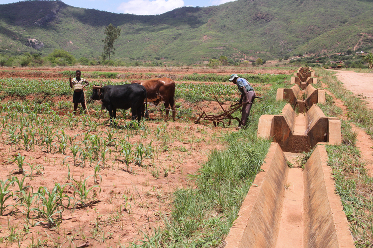 Nyakomba set to become bastion of drought mitigation