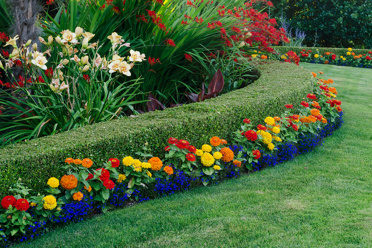 Screening for your garden