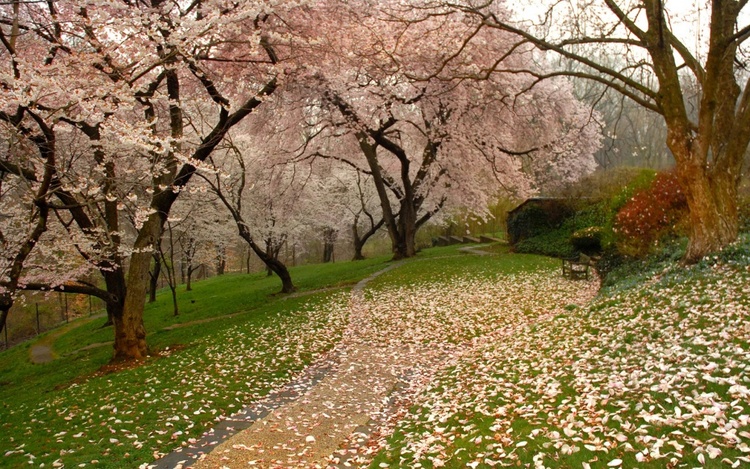 The gardener’s gold