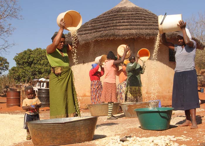 Govt to capacitate smallholder farmers