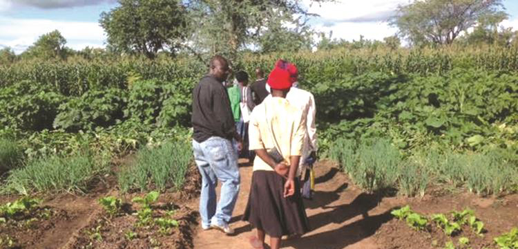Conservation agriculture: Benefiting nature and man