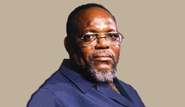Dr Muzenda’s other family
